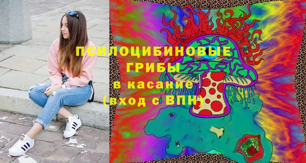 бошки Волосово
