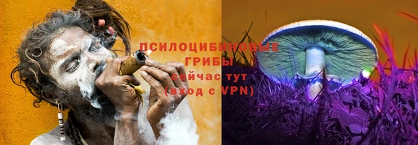 амф Володарск