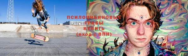 PSILOCYBIN Волоколамск