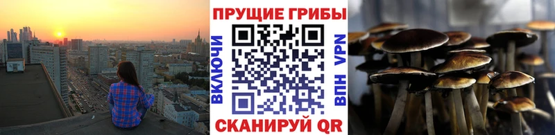 Галлюциногенные грибы прущие грибы Сибай